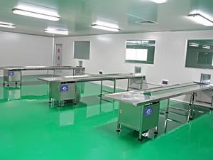 Belt Conveyor
